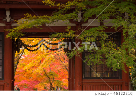 本土寺 紅葉 本土寺 紅葉 46122216