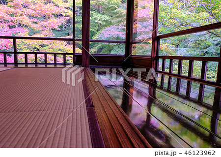 床もみじ 瑠璃光院 床もみじ 瑠璃光院 46123962