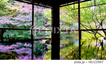 息をのむ美しさ　瑠璃光院の机紅葉 46123967