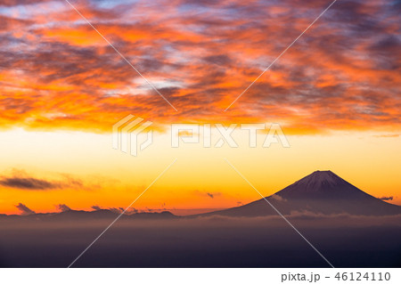 《山梨県》富士山と甲府盆地の夜明け・甘利山より 46124110
