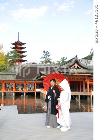 神前結婚式 46125101