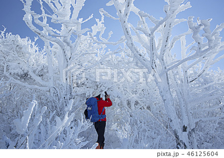 冬 風景 旅行 46125604
