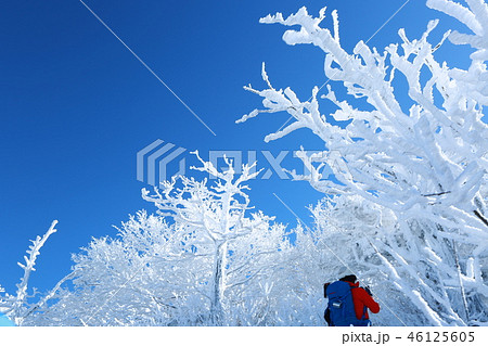 冬 風景 旅行 46125605
