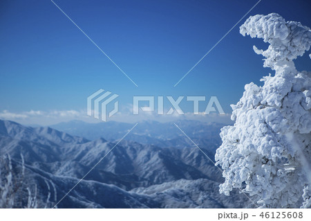 冬 風景 雪景色 46125608
