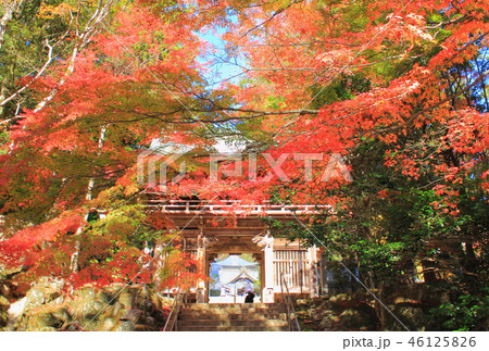四国霊場 大窪寺 紅葉 四国霊場 大窪寺 紅葉 46125826