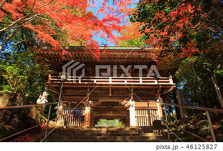 四国霊場　大窪寺　紅葉 46125827