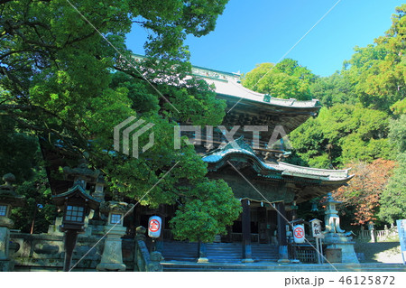 金刀比羅宮「旭社」 46125872