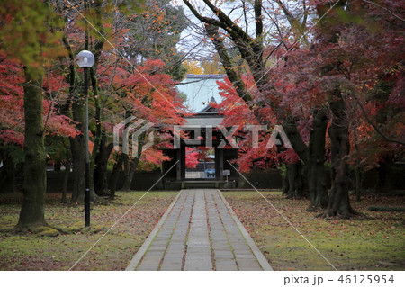 東漸寺 紅葉 東漸寺 紅葉 46125954