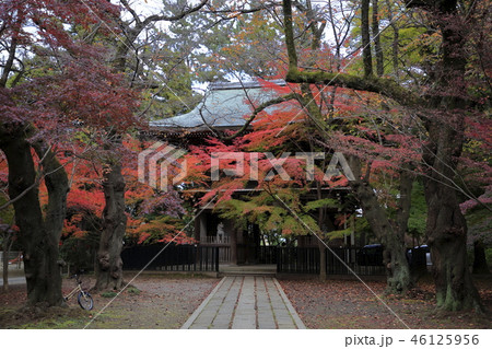 東漸寺 紅葉 東漸寺 紅葉 46125956