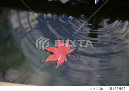 東漸寺　紅葉 46125965