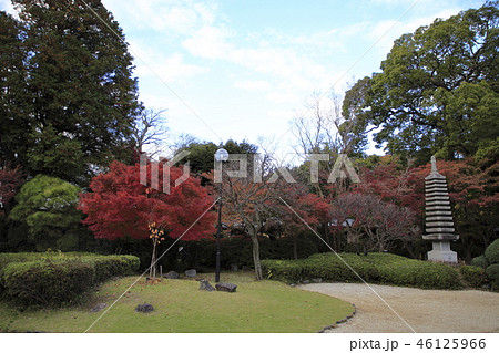 東漸寺　紅葉 46125966