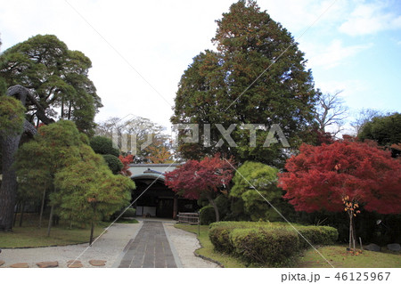 東漸寺　紅葉 46125967