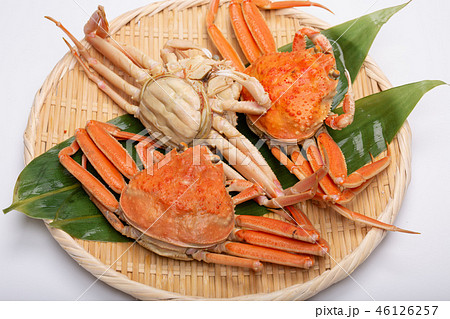 蟹　セイコカニ　セコカニ　コッペカニ　食材 46126257
