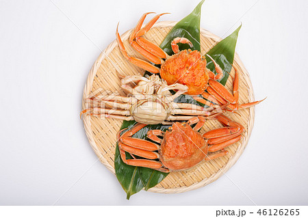 蟹 セイコカニ セコカニ コッペカニ 食材 蟹 セイコカニ セコカニ コッペカニ 食材 46126265