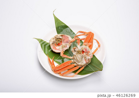 蟹　セイコカニ　セコカニ　コッペカニ　食材 46126269