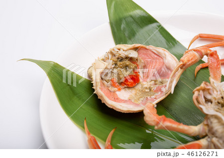 蟹 セイコカニ セコカニ コッペカニ 食材 蟹 セイコカニ セコカニ コッペカニ 食材 46126271