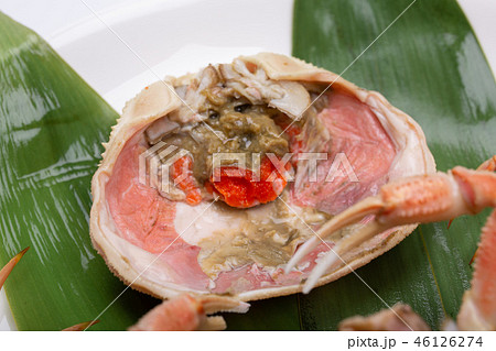 蟹 セイコカニ セコカニ コッペカニ 食材 蟹 セイコカニ セコカニ コッペカニ 食材 46126274