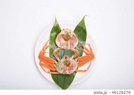 蟹 セイコカニ セコカニ コッペカニ 食材 蟹 セイコカニ セコカニ コッペカニ 食材 46126276