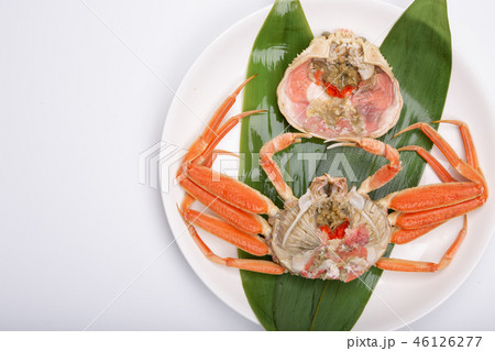 蟹 セイコカニ セコカニ コッペカニ 食材 蟹 セイコカニ セコカニ コッペカニ 食材 46126277