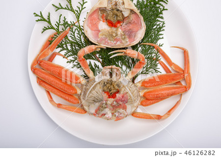 蟹 セイコカニ セコカニ コッペカニ 食材 蟹 セイコカニ セコカニ コッペカニ 食材 46126282