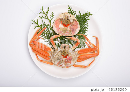 蟹　セイコカニ　セコカニ　コッペカニ　食材 46126290