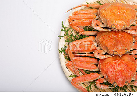 蟹　セイコカニ　セコカニ　コッペカニ　食材 46126297