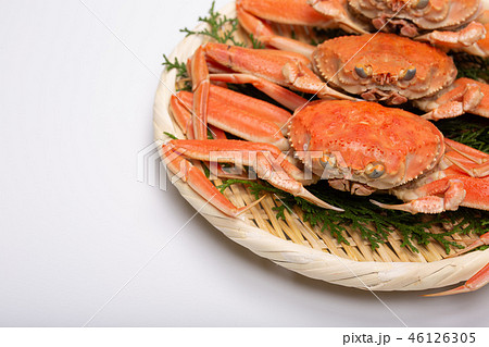 蟹　セイコカニ　セコカニ　コッペカニ　食材 46126305