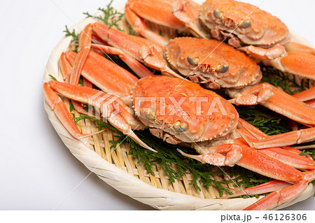 蟹 セイコカニ セコカニ コッペカニ 食材 蟹 セイコカニ セコカニ コッペカニ 食材 46126306