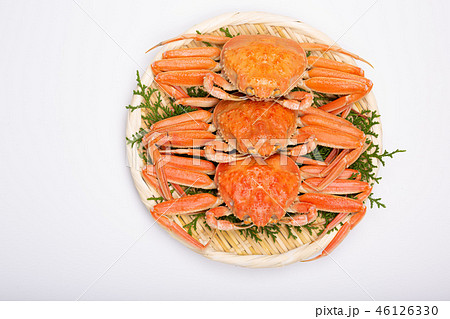 蟹 セイコカニ セコカニ コッペカニ 食材 蟹 セイコカニ セコカニ コッペカニ 食材 46126330