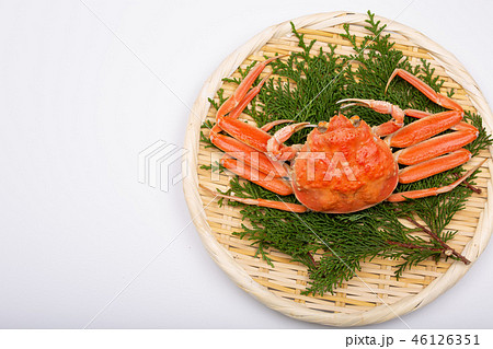 蟹　セイコカニ　セコカニ　コッペカニ　食材 46126351
