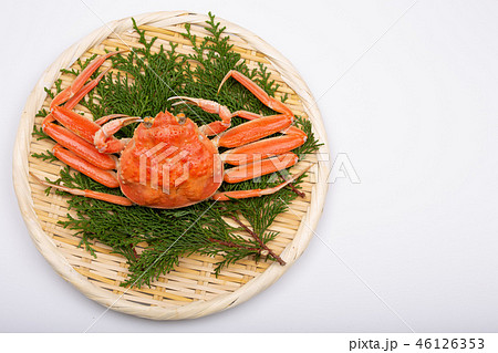 蟹 セイコカニ セコカニ コッペカニ 食材 蟹 セイコカニ セコカニ コッペカニ 食材 46126353