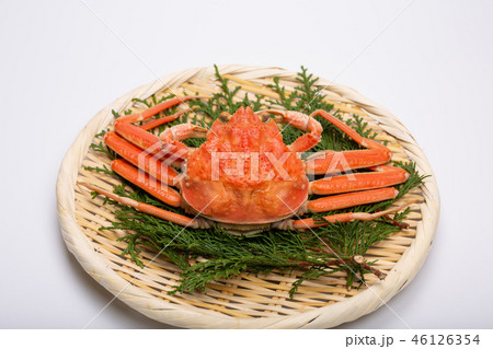 蟹　セイコカニ　セコカニ　コッペカニ　食材 46126354