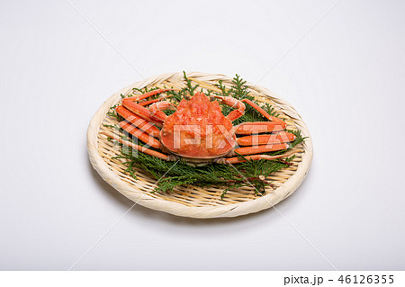 蟹　セイコカニ　セコカニ　コッペカニ　食材 46126355
