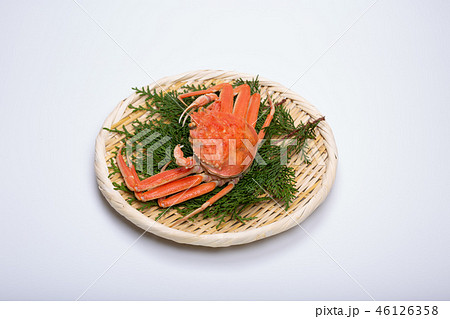 蟹 セイコカニ セコカニ コッペカニ 食材 蟹 セイコカニ セコカニ コッペカニ 食材 46126358
