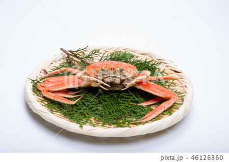 蟹　セイコカニ　セコカニ　コッペカニ　食材 46126360