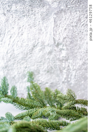 Holiday background banner with bokeh in the background spruce branch in the foreground and copy 46129758