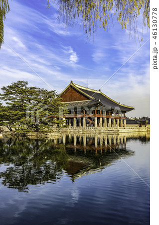 慶会楼 松 風景 46130778