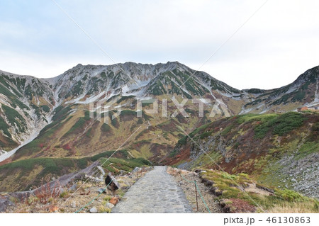 秋を迎えた立山連邦と登山道 46130863