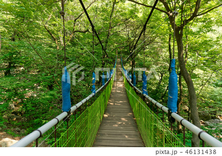 京畿道 キョンギド 楊平郡 46131438
