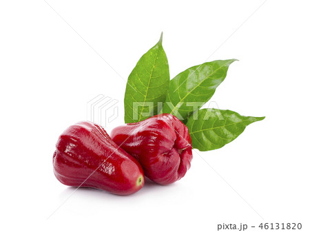 Rose apples isolated on white background. 46131820