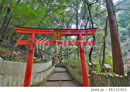 【犬鳴山 七宝瀧寺 大龍不動明王 鳥居】 大阪府泉佐野市大木8 【犬鳴山 七宝瀧寺 大龍不動明王 鳥居】 大阪府泉佐野市大木8 46132301