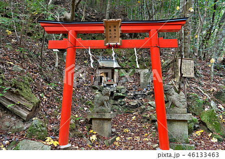 【犬鳴山 七宝瀧寺 清瀧大神 白瀧大神】 大阪府泉佐野市大木8 【犬鳴山 七宝瀧寺 清瀧大神 白瀧大神】 大阪府泉佐野市大木8 46133463