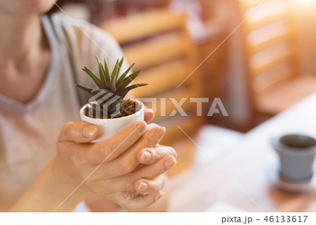holding a cactus pot 46133617