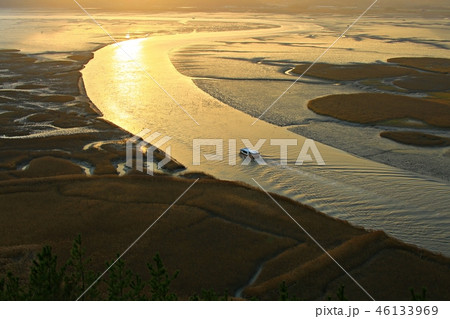 順天湾 順天湾湿地 秋 46133969