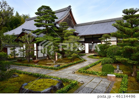 京都、妙心寺退蔵院 京都、妙心寺退蔵院 46134496
