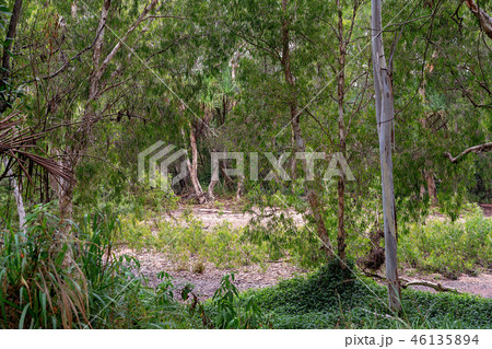 Dry Creek Bed During Drought Dry Creek Bed During Drought 46135894