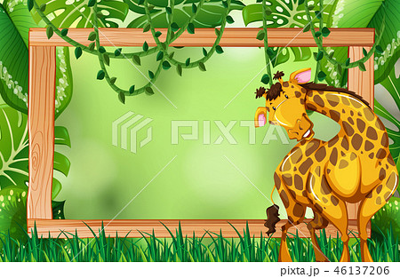 Giraffe on green nature frame 46137206