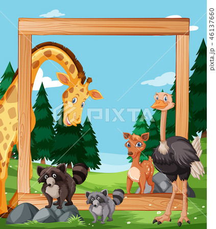 Wild animal on wooden frame Wild animal on wooden frame 46137660