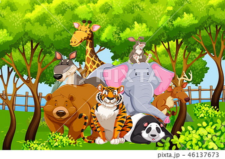Wild animals in nature 46137673