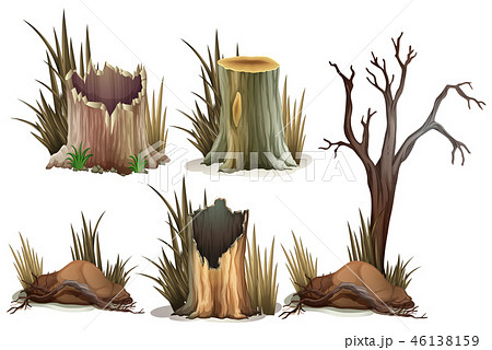 Different type of tree stump 46138159